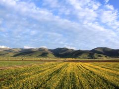 -青海湖国家重点风景名胜区