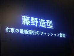 点击看大图 大厅-藤野造型