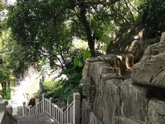 -船政文化景区-罗星塔公园