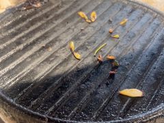 -厚味居炙子烤肉·清真(天桥南纬路店)