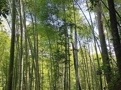 -磐安十八涡风景区