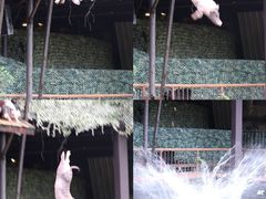 -长鹿旅游休博园