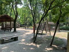 -溱湖国家湿地公园