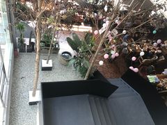 -桉树林A coffee 森林餐厅(三圣乡店)