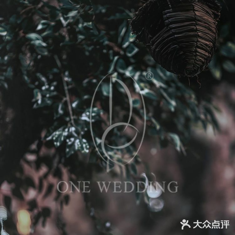 OneWedding丨属于你的花园婚礼