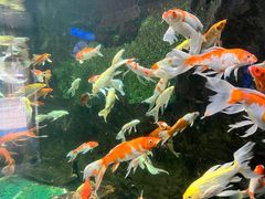 -厦门海底世界