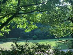 -杭州植物园