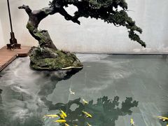 -觀芷隐轩
