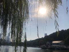 -食膳公园包子铺(烈士公园店)