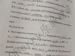 -瑞丁熊原版阅读(大华校区)