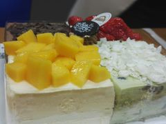 -维尔纳斯·生日蛋糕动物奶油冰淇淋蛋糕(人大店)