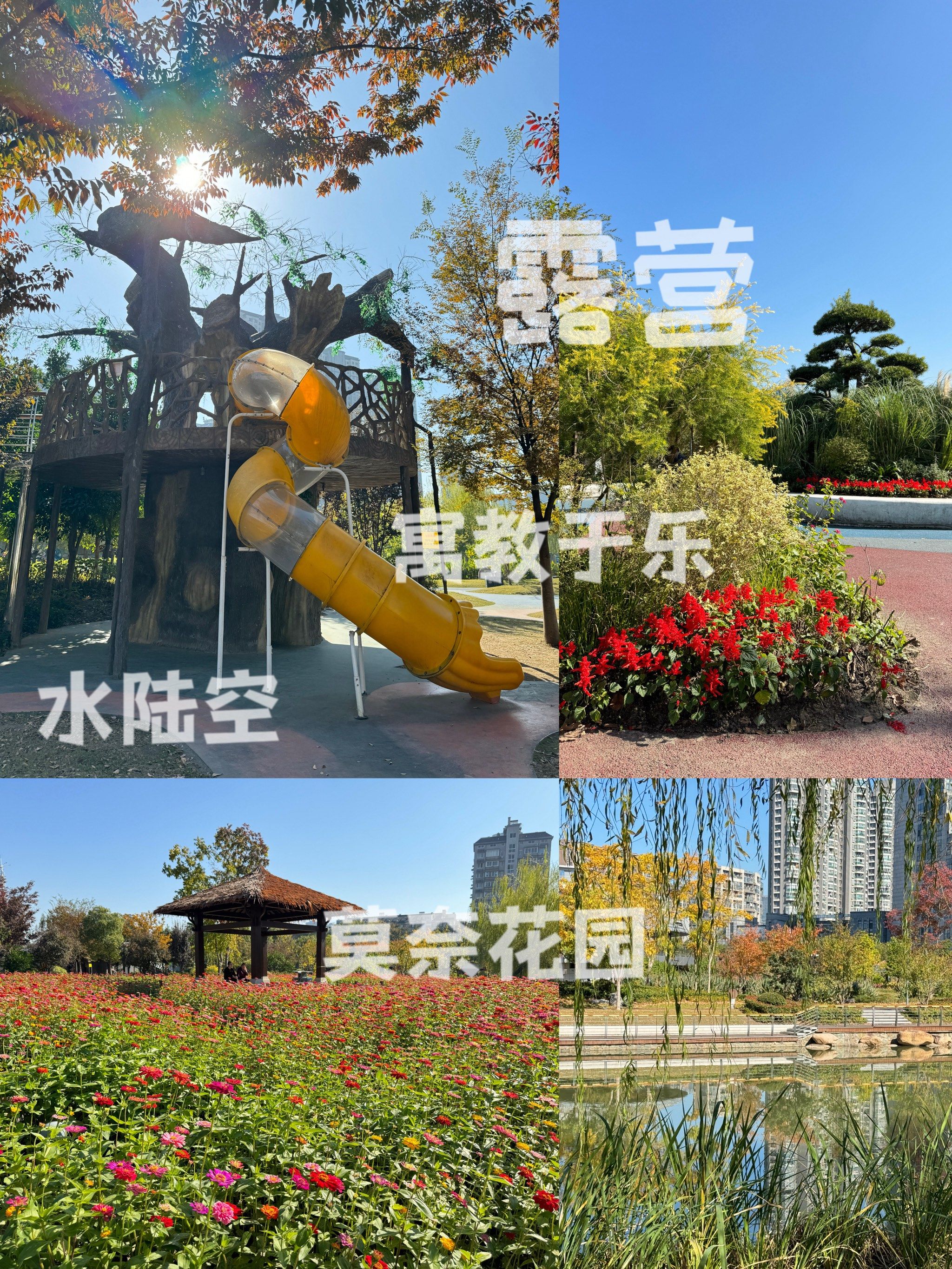 在楼下露营是什么感受|北塘河儿童公园