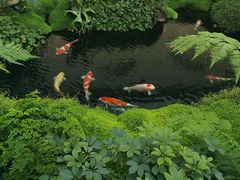 -罗红摄影艺术馆