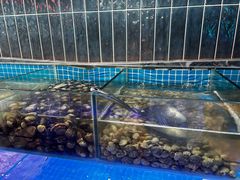 -海韵之星邮轮水会(明发商业广场店)
