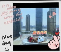 -巍阁高端月子会所