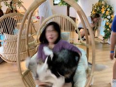 -Husky Go! 哈士奇体验馆·宠物咖啡厅狗咖