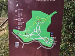 -上海佘山国家森林公园天马山园