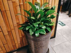 -金柱大盘鸡(波斯坦店)