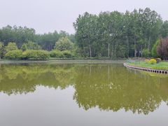 -仁和公园(顺义区)