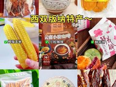-西双版纳傣族园