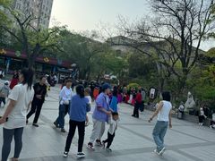 -文瀛公园