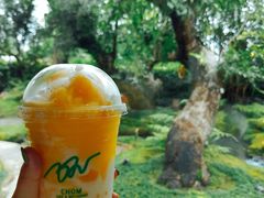 -Chom Cafe and Restaurant