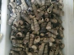 -三乐海鲜水饺馆