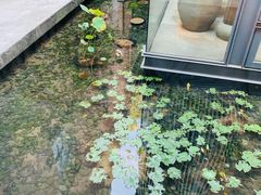 -元生咖啡(陶溪川店)