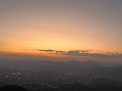 -长虫山生态公园风景林