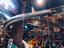 -卡通尼·Safari非洲探索乐园·生日会(金桥国际商业广场店)