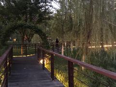 -沐仙湖湿地公园