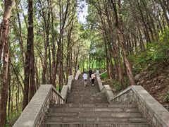 -四门塔风景区