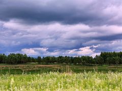 -塞罕坝国家级自然保护区