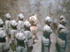 iphone_upload_pic-济州岛泰迪熊博物馆