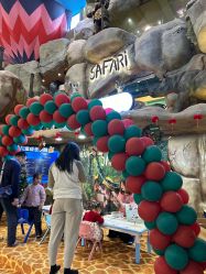 -卡通尼·Safari非洲探索乐园·生日会(金桥国际商业广场店)
