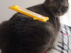 -正清和·推拿养生(和平广场店)