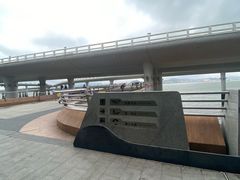 -演武大桥观景平台