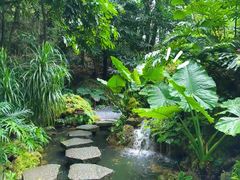 -深圳仙湖植物园