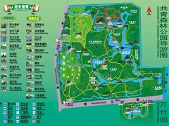 -上海共青森林公园