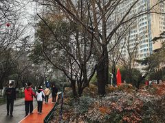 -西安市长乐公园