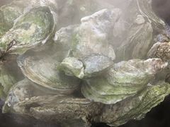 -蚝专家(北滘店)