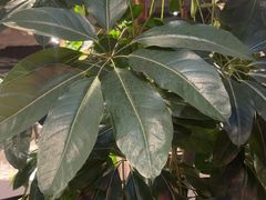 -新沸腾鱼乡(世贸天阶店)
