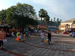 -重庆海昌加勒比海水世界