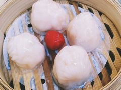 金牌虾饺皇-点都德(千灯湖环宇城店)