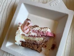 -BLACKSWAN黑天鹅(环球店)