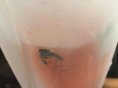 满肉草莓-九秋茶铺(三里屯店)