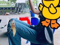 -会江钓鱼钓虾烧烤场