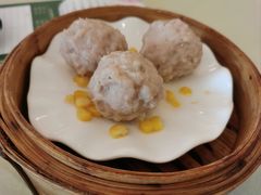 道滘猪肉丸-顺风山庄(水濂山店)