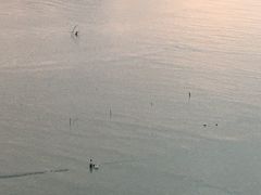 -北岐滩涂