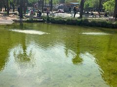 -沕沕水生态风景区